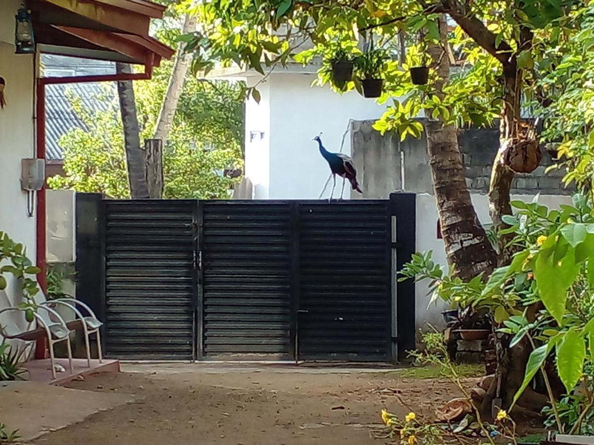 4Ty Two Homestay Galle Eksteriør bilde
