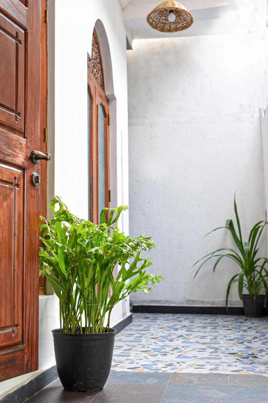 4Ty Two Homestay Galle Eksteriør bilde