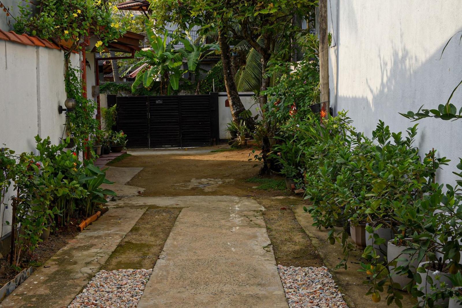 4Ty Two Homestay Galle Eksteriør bilde