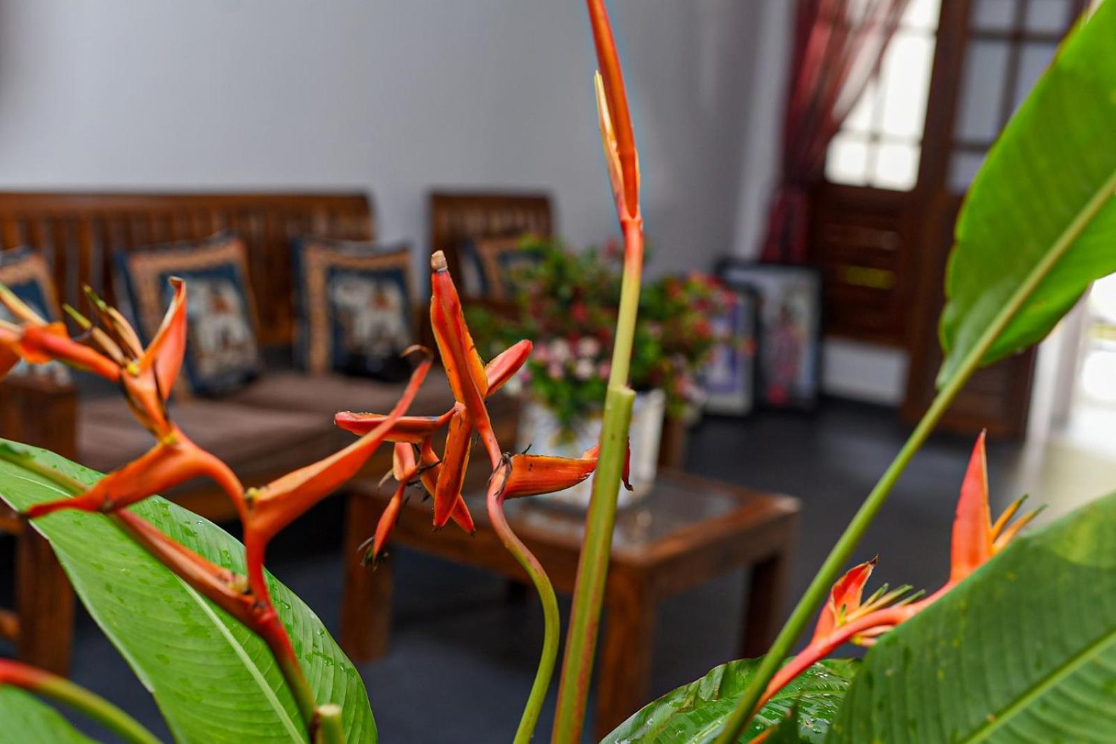 4Ty Two Homestay Galle Eksteriør bilde